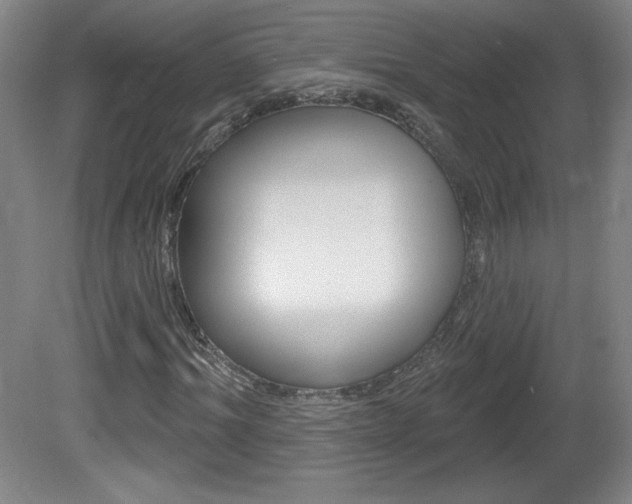 X0000081600964200701151049