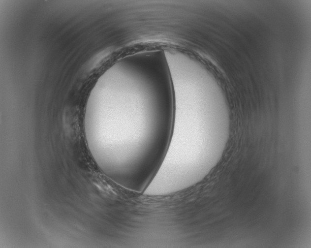 X0000081600968200701151049