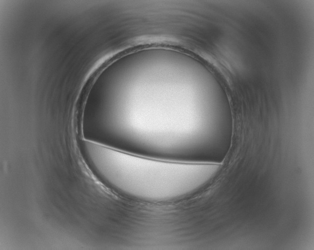 X0000081600983200701151049