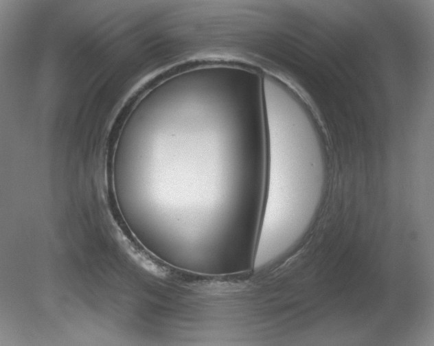 X0000081600984200701151049