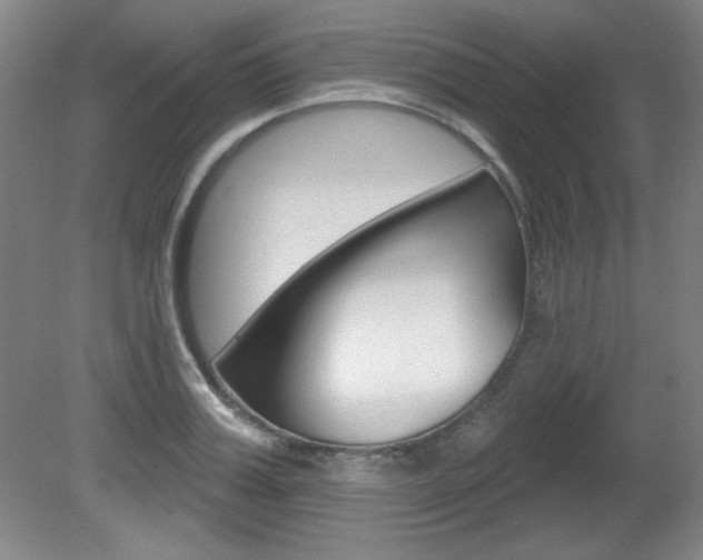 X0000081600987200701151049