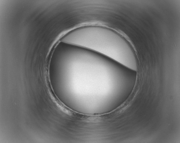 X0000081600989200701151049