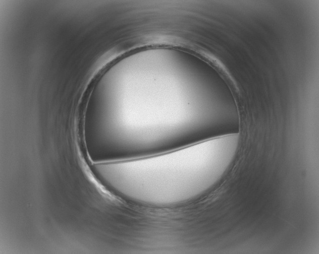 X0000081600991200701151049
