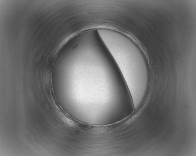 X0000081600993200701151049