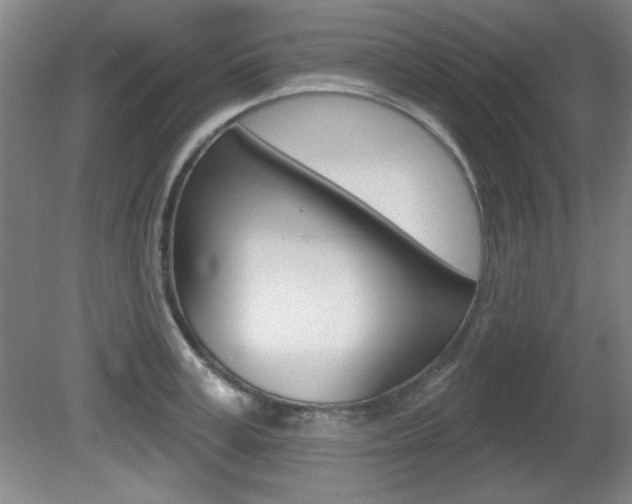 X0000081600995200701151049
