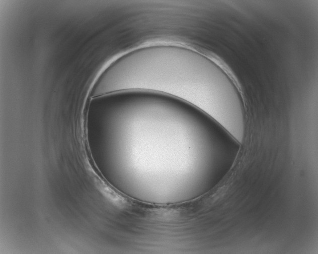 X0000081600996200701151049