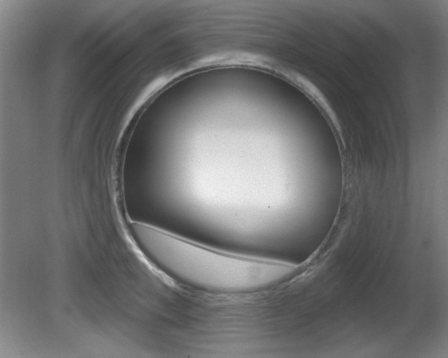 X0000081600997200701151049