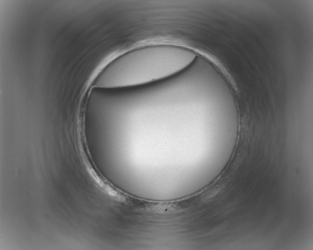 X0000081600998200701151049