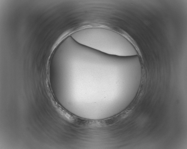 X0000081601002200701151049