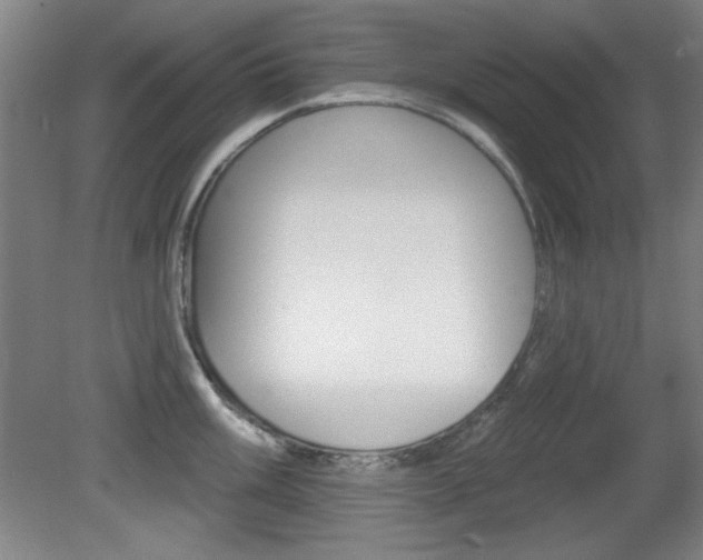 X0000081601003200701151049