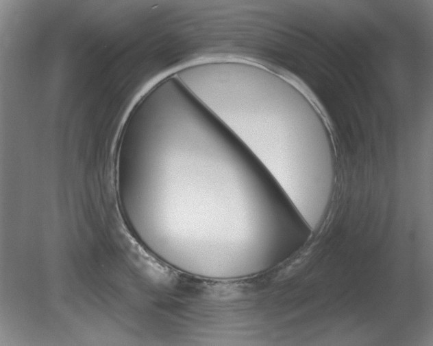 X0000081601004200701151049