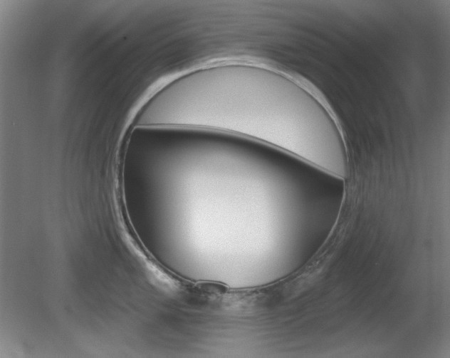 X0000081601005200701151049
