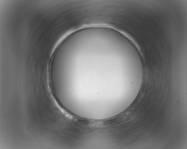 X0000081601006200701151049