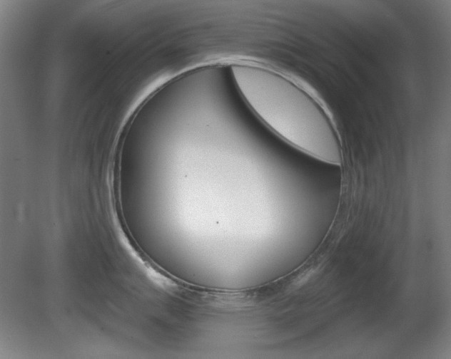 X0000081601007200701151049
