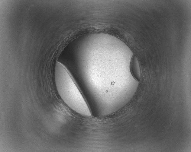 X0000081601009200701151048
