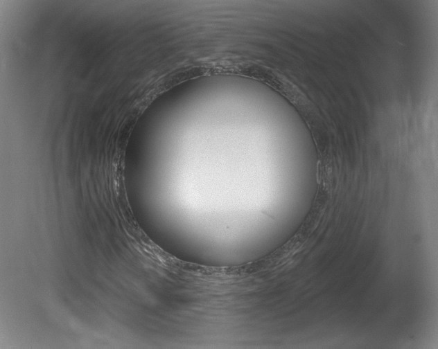 X0000081601010200701151048