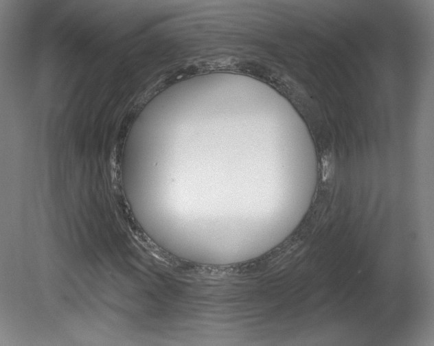 X0000081601011200701151048