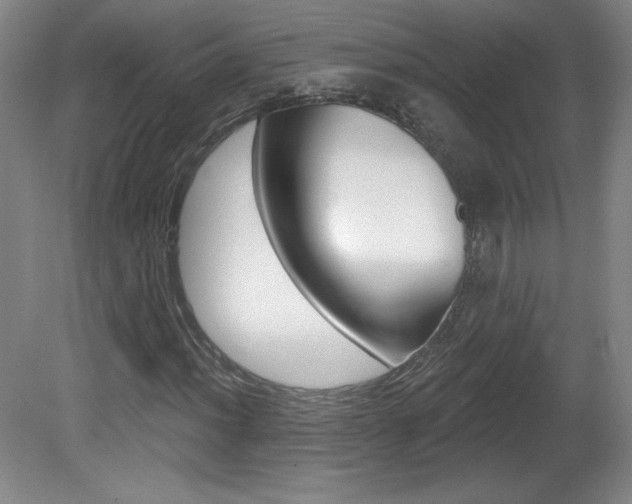 X0000081601012200701151048