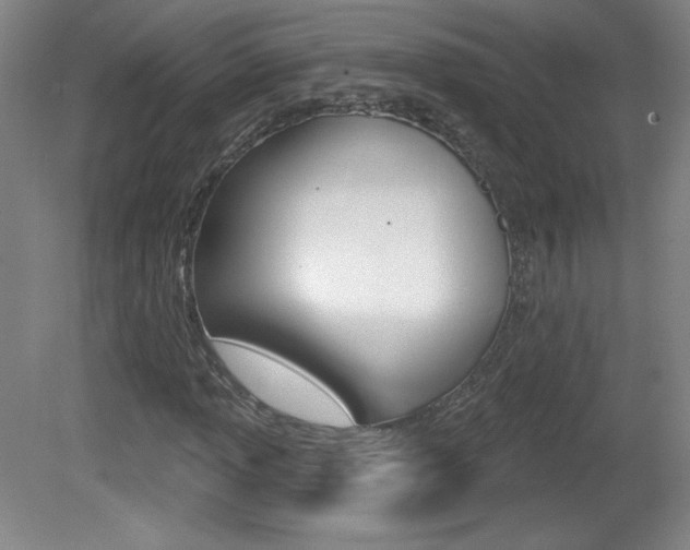 X0000081601013200701151048