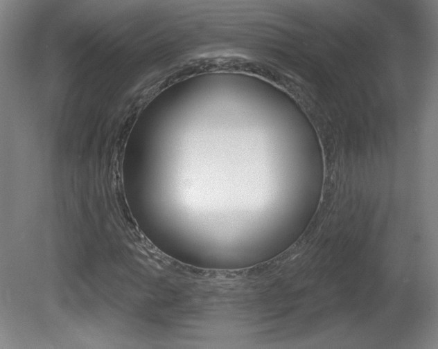 X0000081601014200701151048