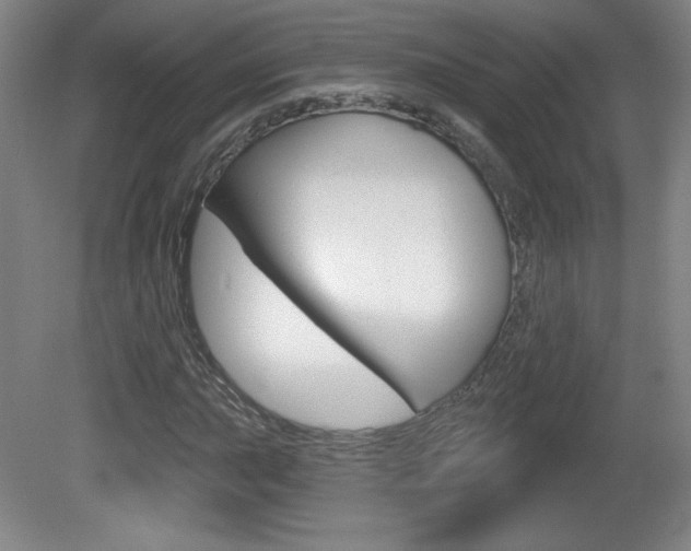 X0000081601015200701151048