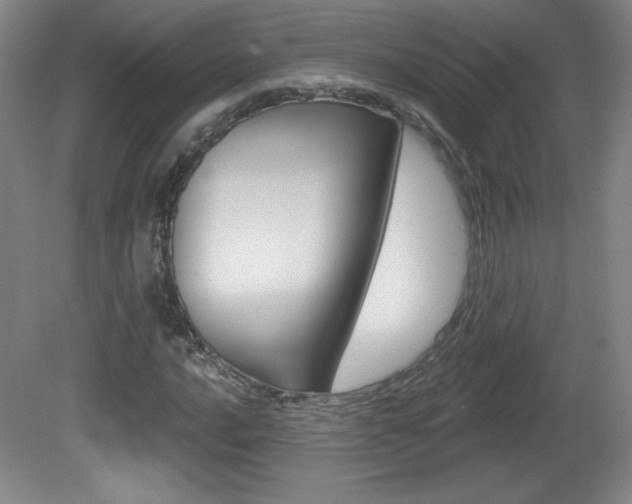 X0000081601016200701151048
