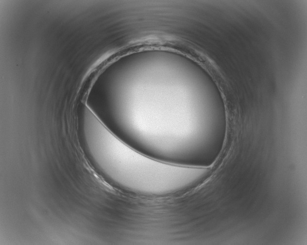 X0000081601018200701151048
