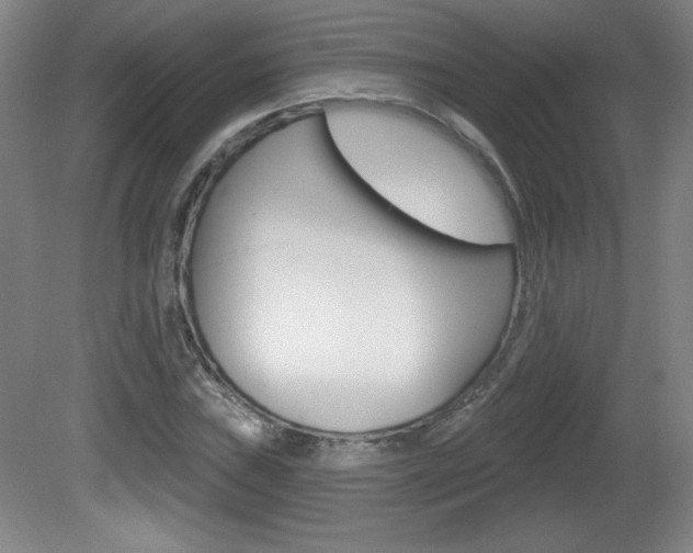 X0000081601019200701151048