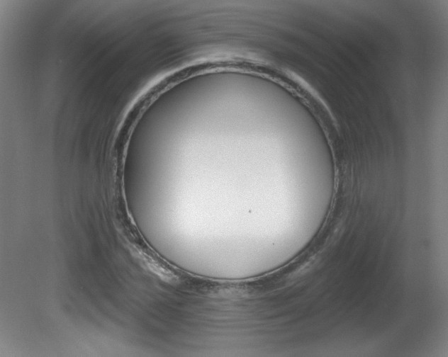 X0000081601021200701151048