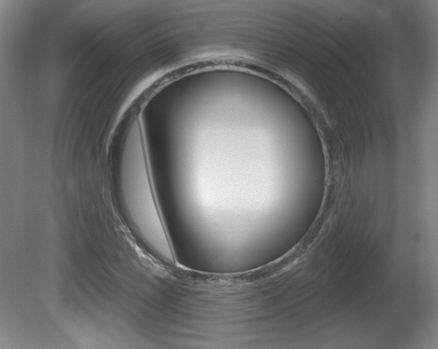 X0000081601022200701151048
