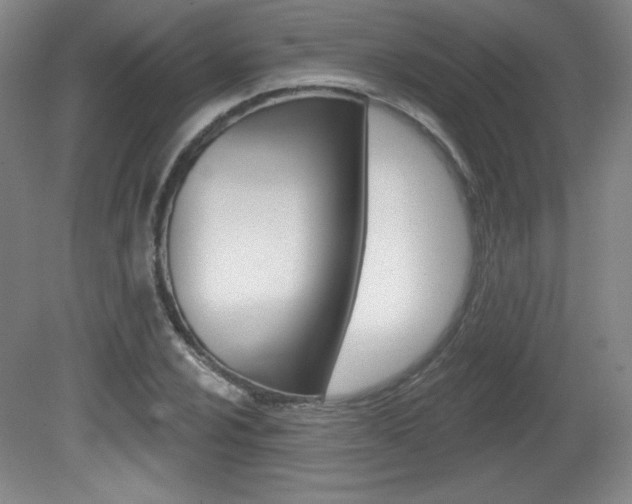 X0000081601024200701151048