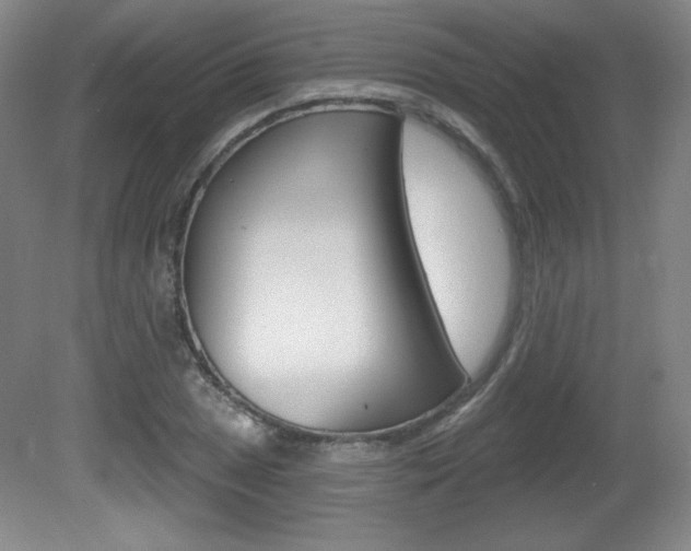 X0000081601025200701151048