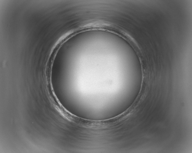 X0000081601026200701151048