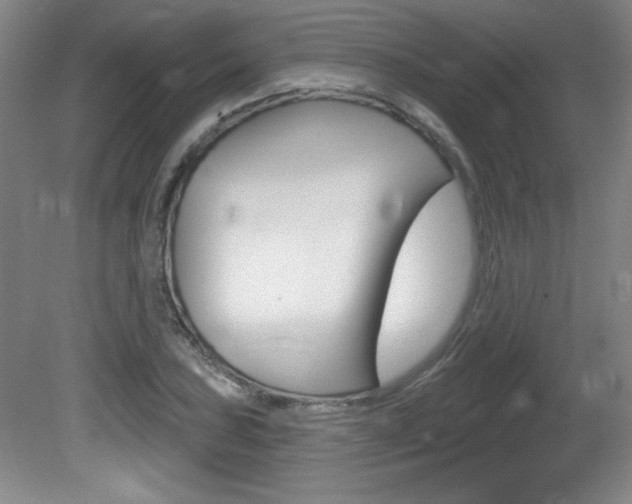 X0000081601027200701151048