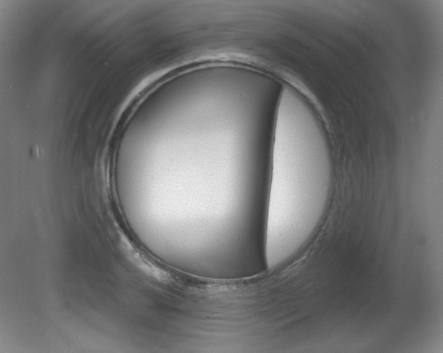 X0000081601032200701151048