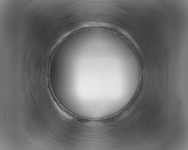 X0000081601033200701151048