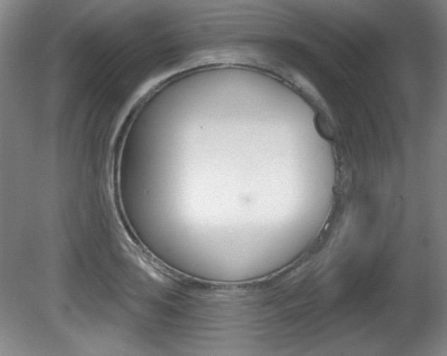 X0000081601035200701151048