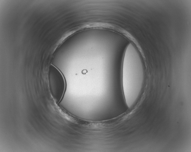 X0000081601041200701151048