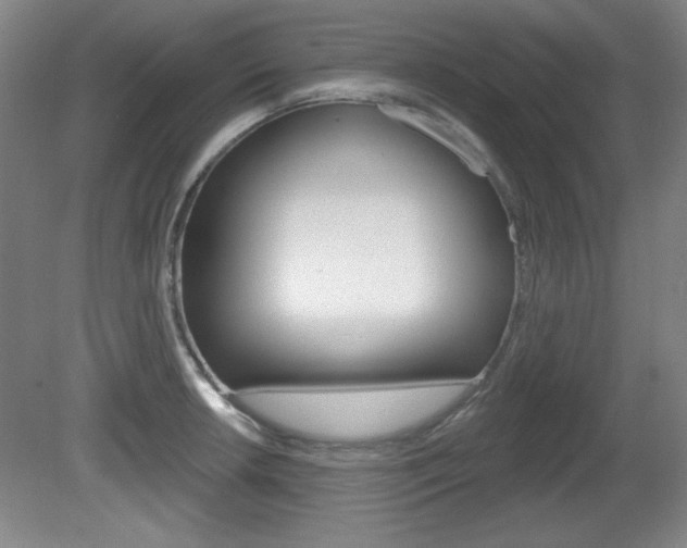 X0000081601042200701151048