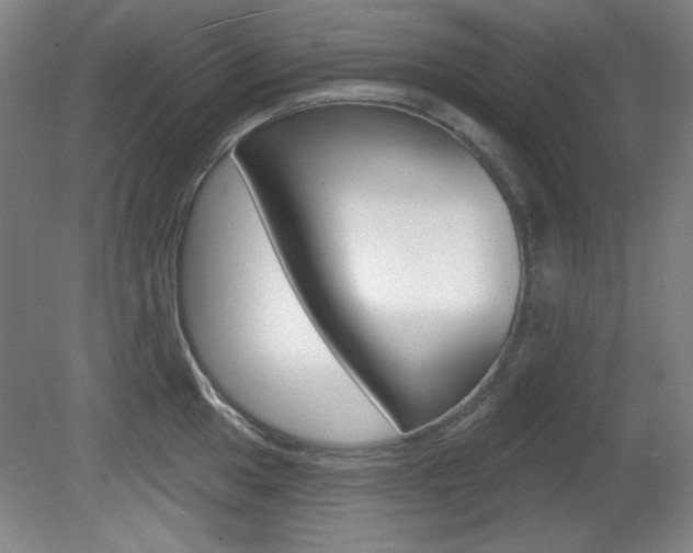 X0000081601049200701151049