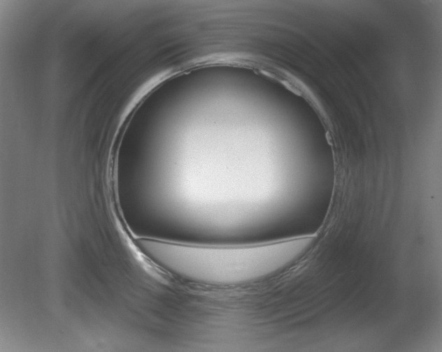 X0000081601050200701151049