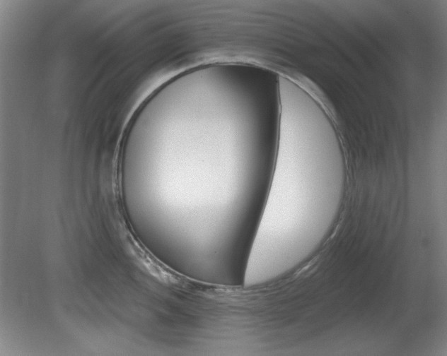 X0000081601052200701151049