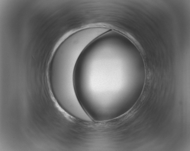 X0000081601054200701151049