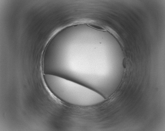 X0000081601055200701151049