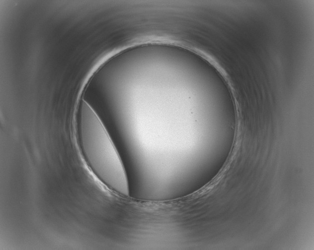 X0000081601056200701151049