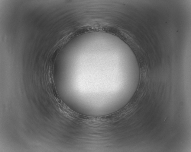 X0000081601060200701151048