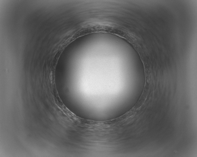 X0000081601061200701151048