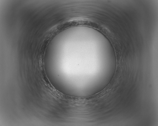 X0000081601062200701151048