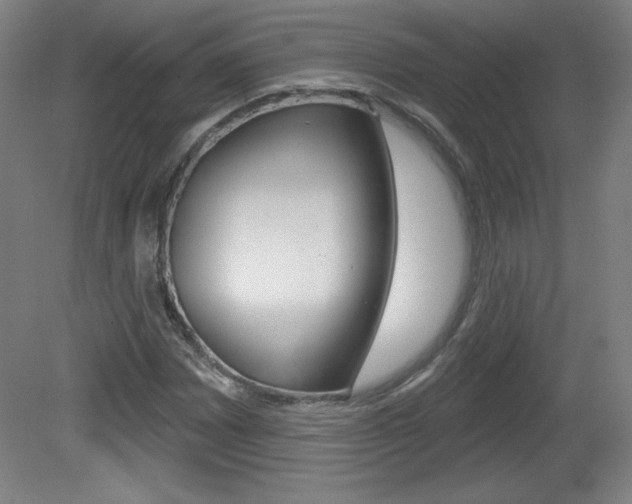 X0000081601065200701151048