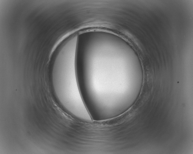 X0000081601069200701151048